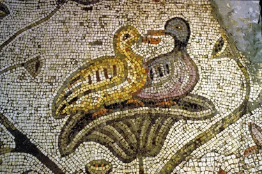 Detail des Tabgha-Mosaiks